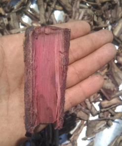 Mimosa Hostilis Root Bark (MHRB) – Premium Quality, Ethically Sourced