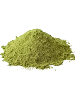 San Pedro Cactus Powder